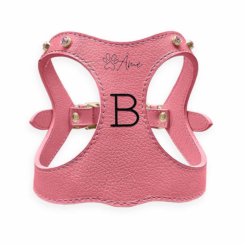 Peitoral de Couro para Cachorro Personalizado | Brownie