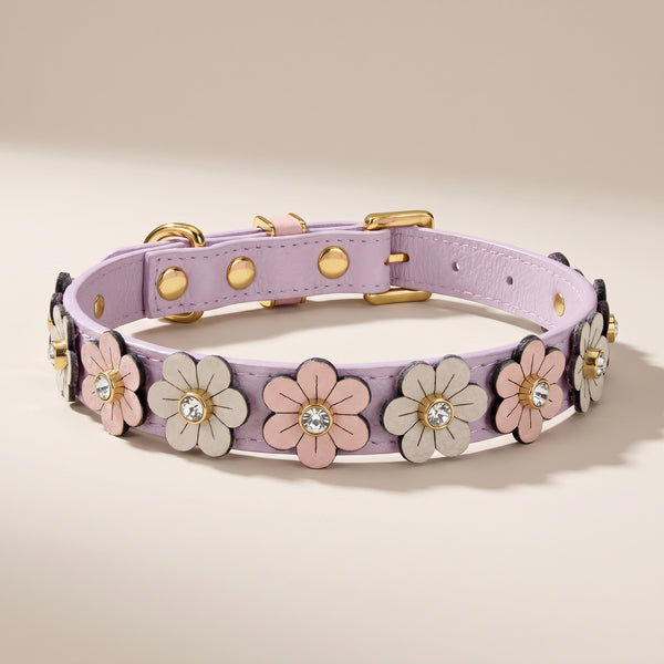 Coleira Personalizada para Cachorro com Flores | Prímula