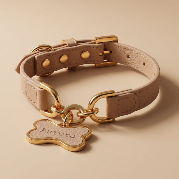 Coleira Personalizada para Cachorro com Corrente | Julie