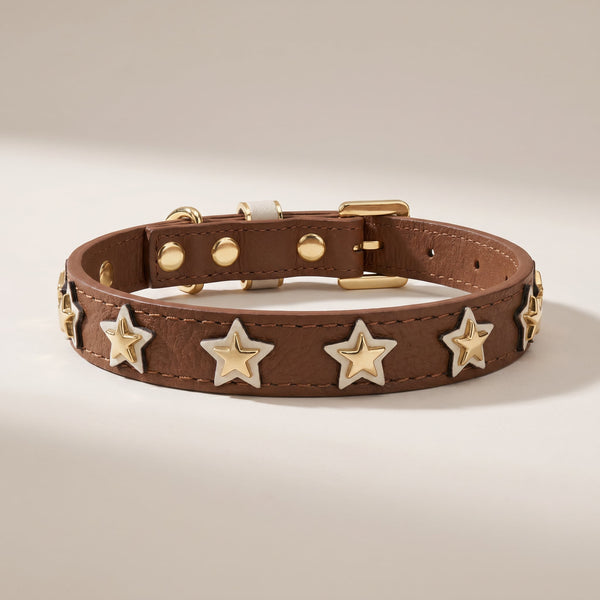 Coleira Personalizada para Cachorro com Estrelas | Órion