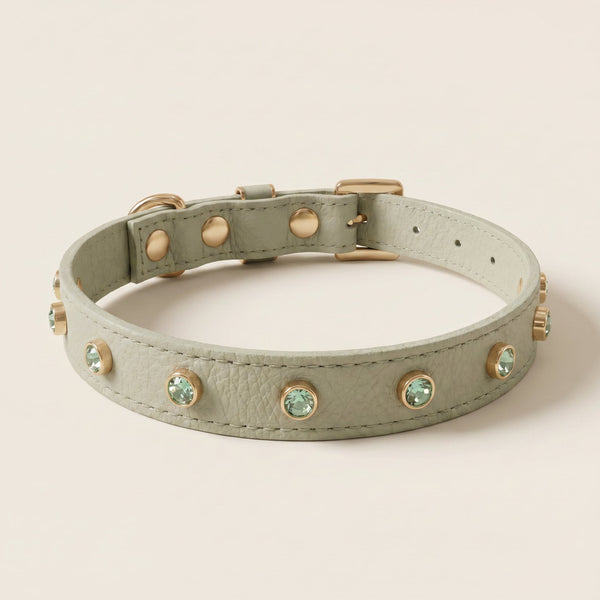 Coleira Personalizada para Cachorro com Strass | Alice