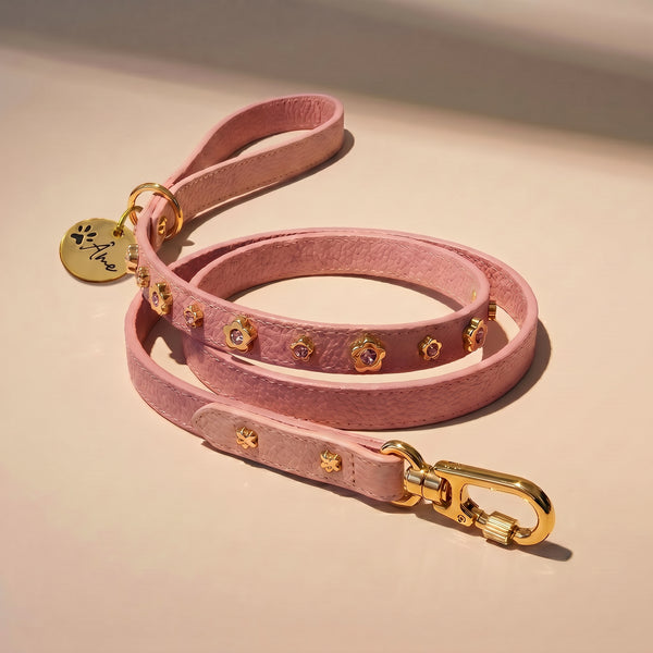 Guia de Couro para Cachorro com Flores | Kylie