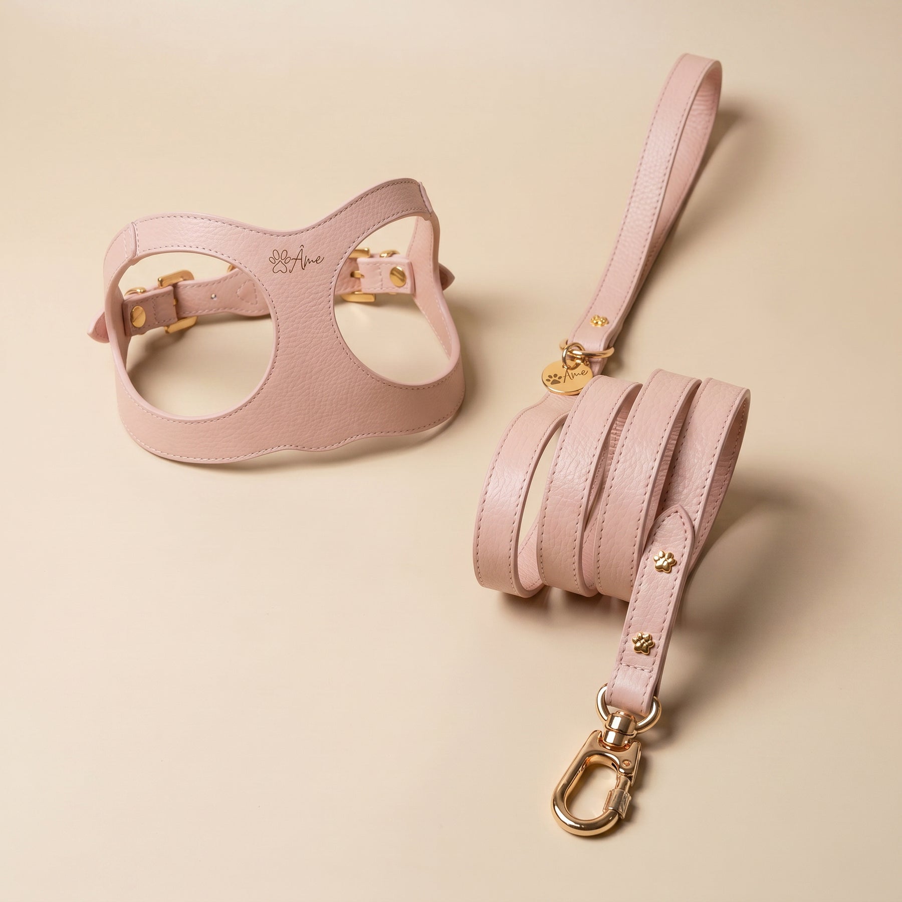 Kits para Gatos
