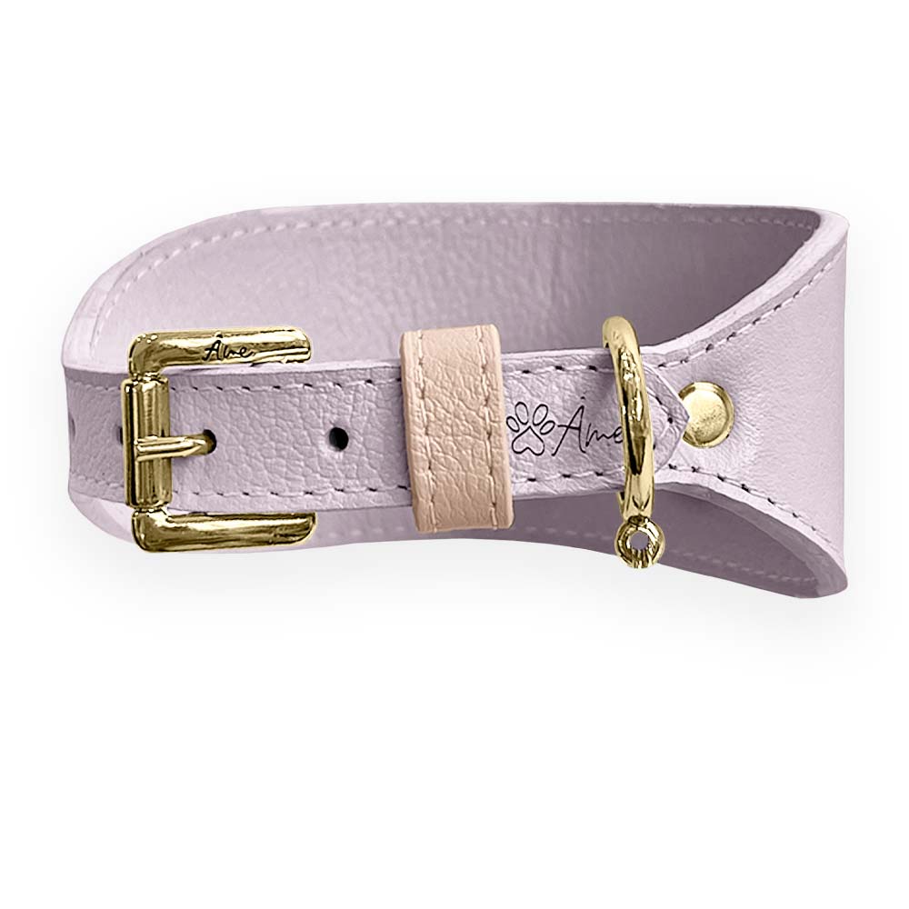 Coleira de Couro para Galgo com Design Anatômico