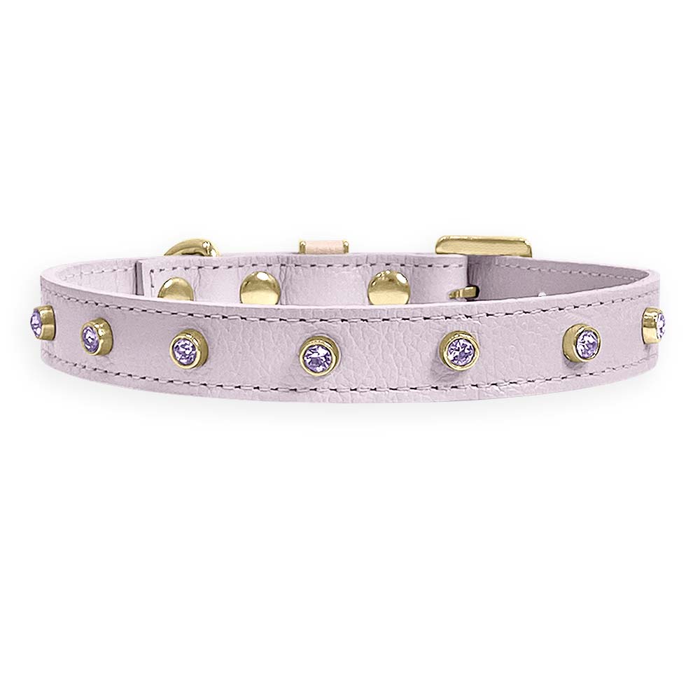 Coleira Personalizada para Cachorro com Strass | Alice