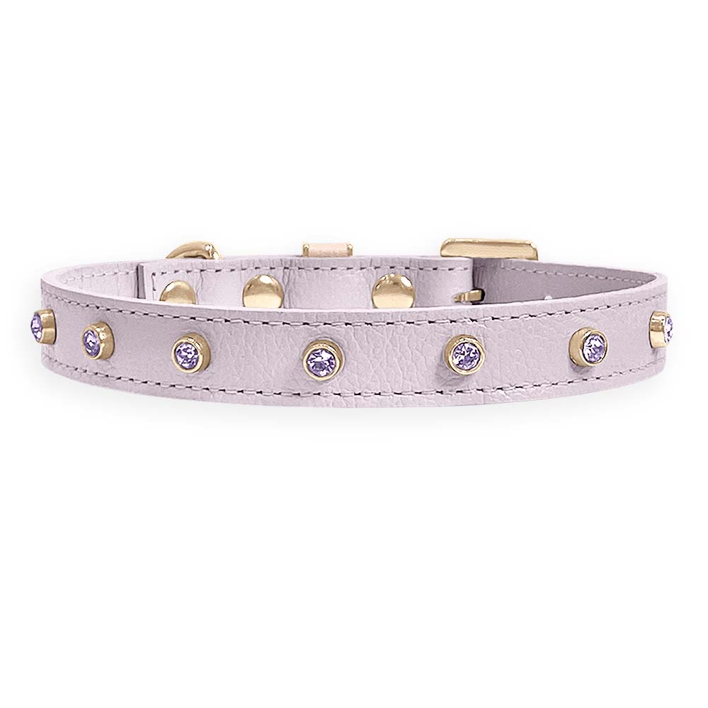 Coleira Personalizada para Cachorro com Strass | Alice