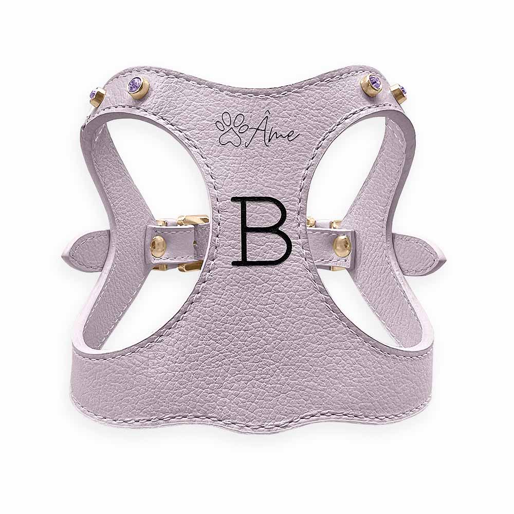 Peitoral de Couro para Cachorro Personalizado | Brownie