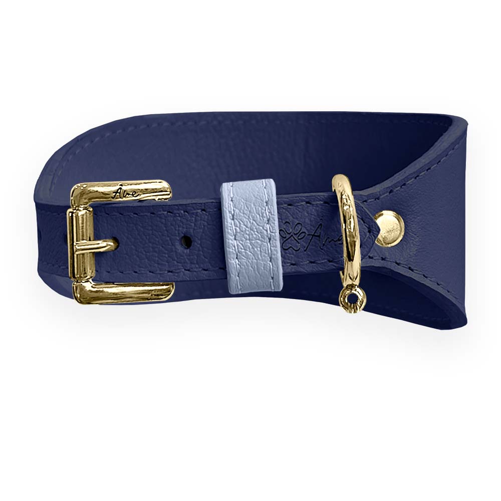 Coleira de Couro para Galgo com Design Anatômico