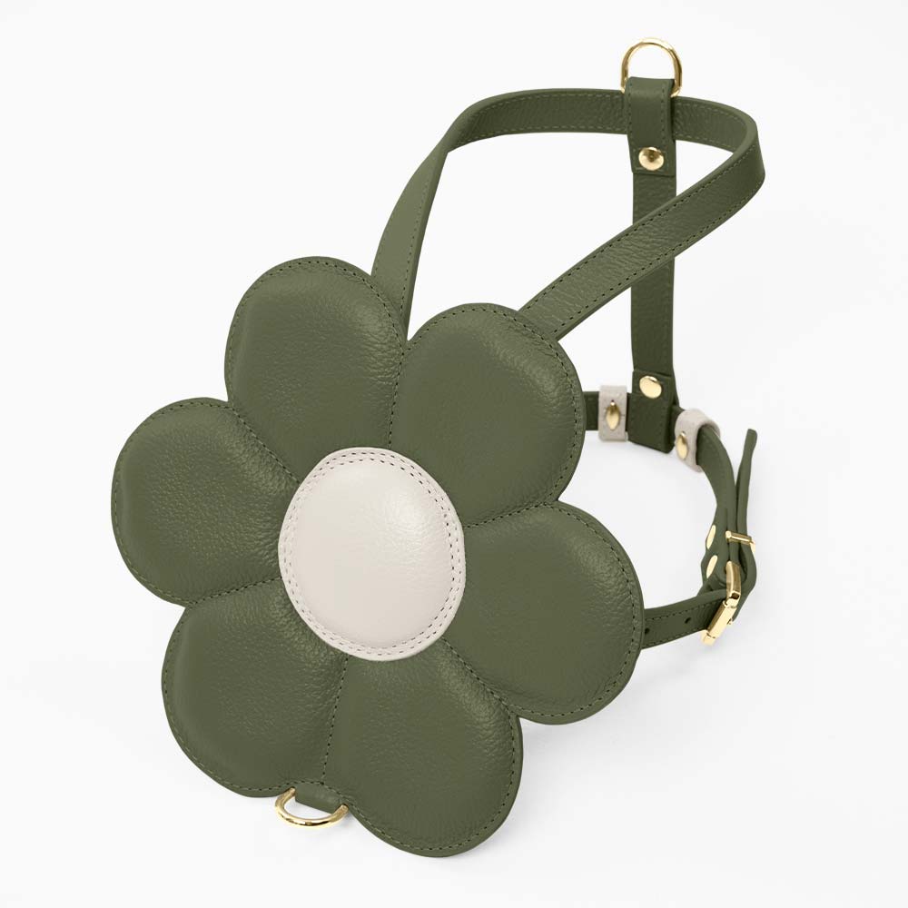 Peitoral de Couro para Cachorro com Flor | Florence