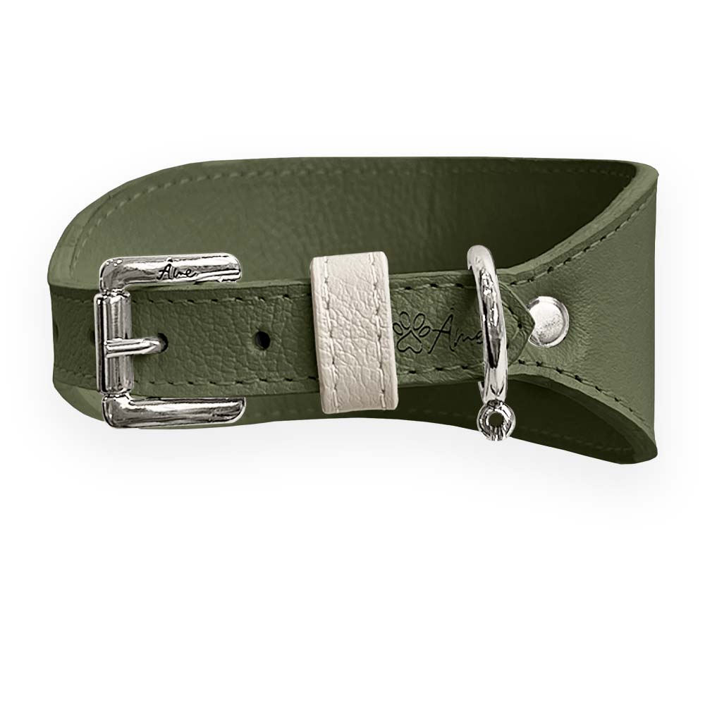 Coleira de Couro para Galgo com Design Anatômico