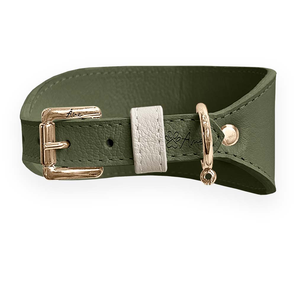 Coleira de Couro para Galgo com Design Anatômico