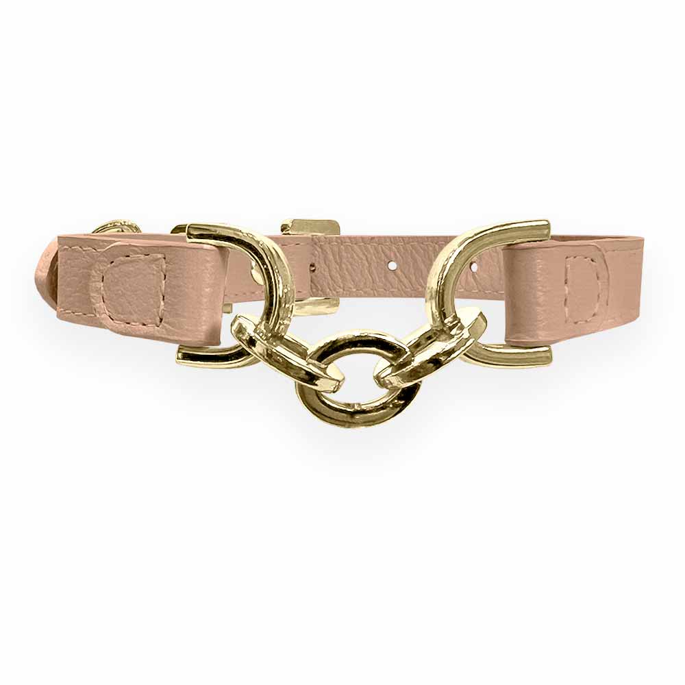 Coleira Personalizada para Cachorro com Corrente | Julie