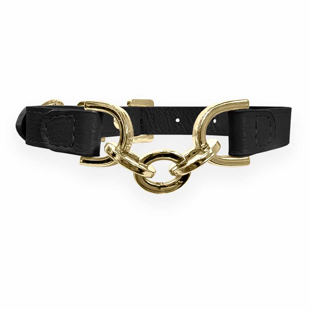 Coleira Personalizada para Cachorro com Corrente | Julie