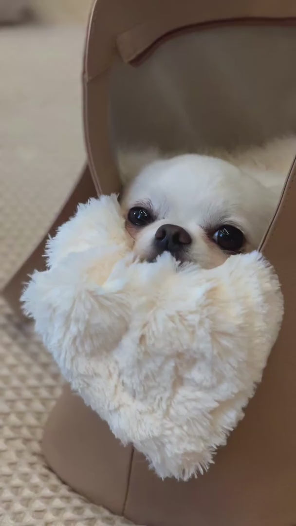 Bolsa de Passeio Pet em Couro | Lis