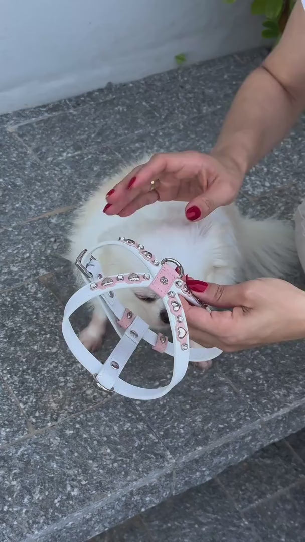 Peitoral de Couro para Cachorro com Corações | Lili