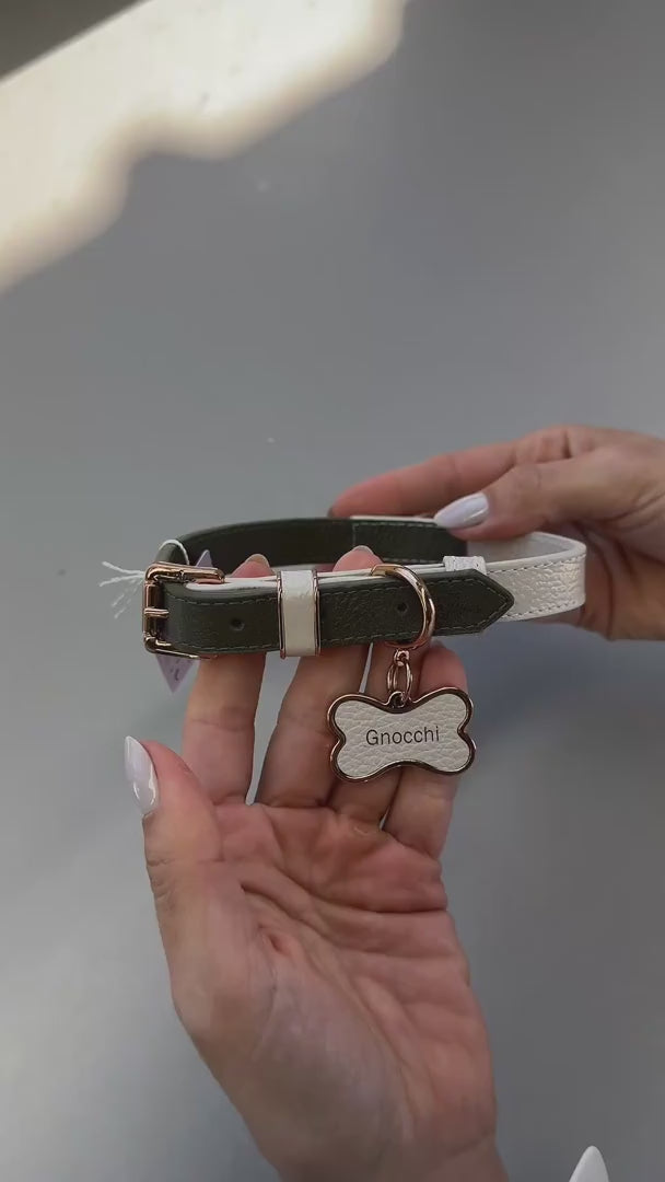 Coleira de Couro para Cachorro Bicolor | Sara