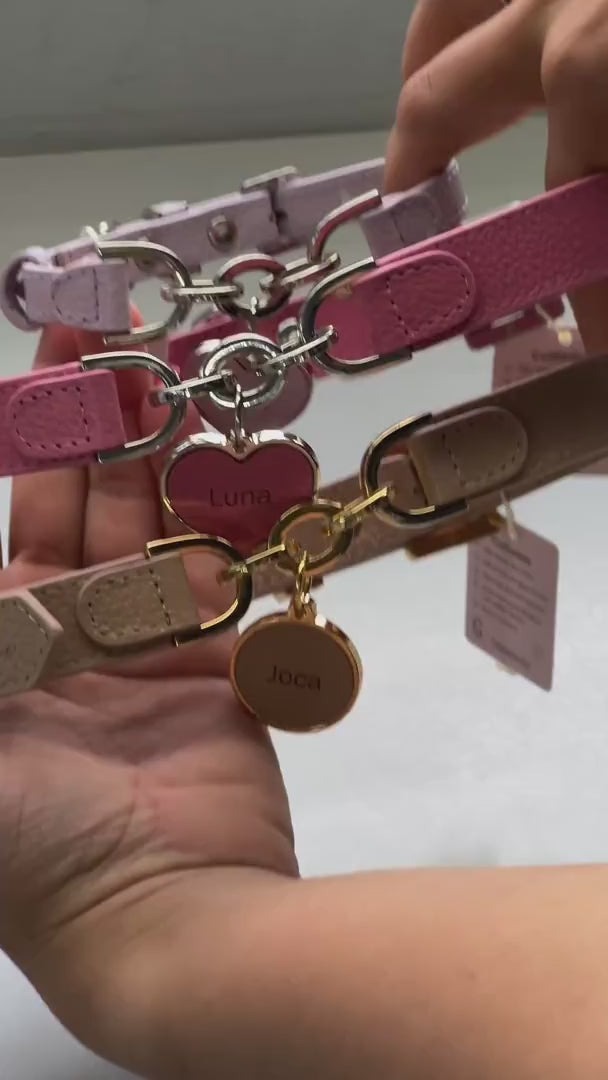 Coleira Personalizada para Cachorro com Corrente | Julie