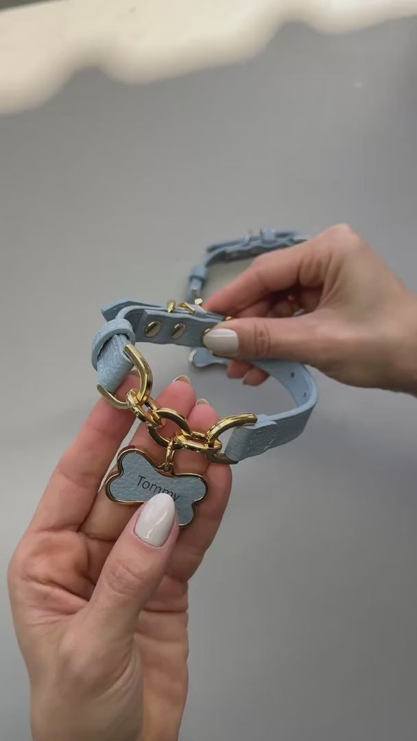 Coleira Personalizada para Cachorro com Corrente | Julie