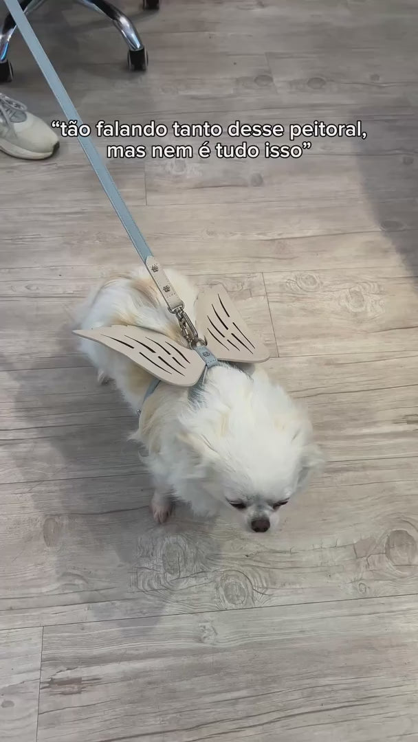 Peitoral de Couro para Cachorro com Asas de Anjo | Gabriel