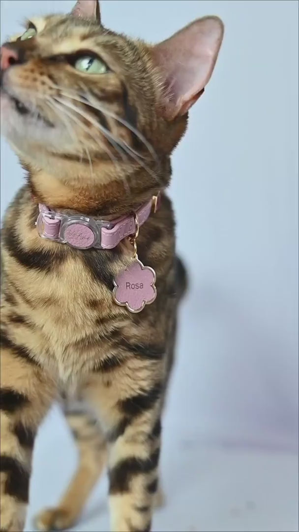 Coleira para Gato em Couro com Strass Retangular | Ivy