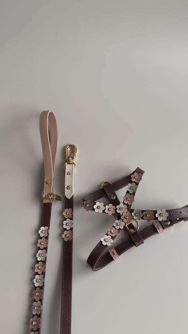 Kit Peitoral e Guia de Couro com Flores | Prímula