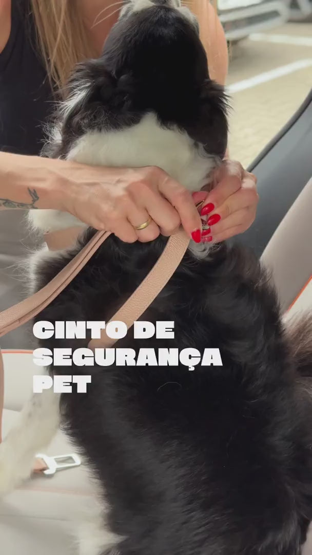 Cinto de Segurança para Cachorro em Couro