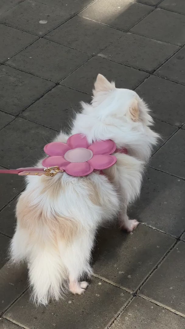 Peitoral de Couro para Cachorro com Flor | Florence