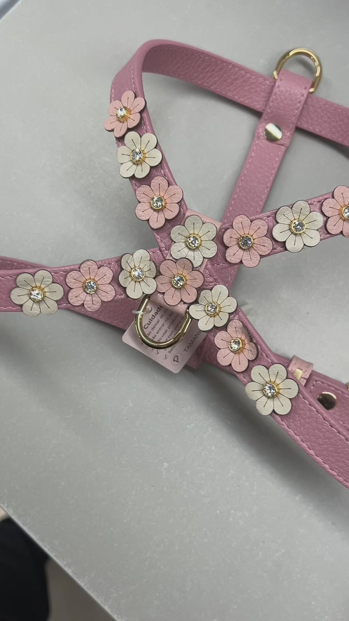 Kit Peitoral e Guia de Couro com Flores | Prímula