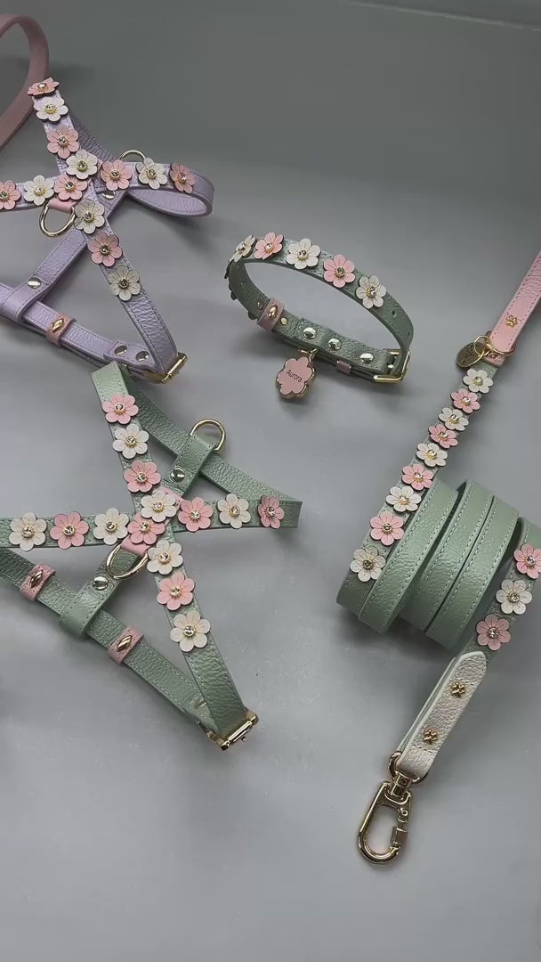 Kit Peitoral e Guia de Couro com Flores | Prímula