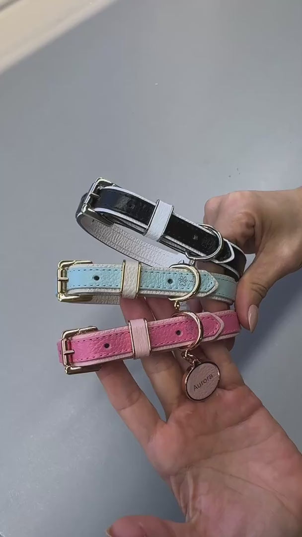 Coleira de Couro para Cachorro em Duas Cores | Lara