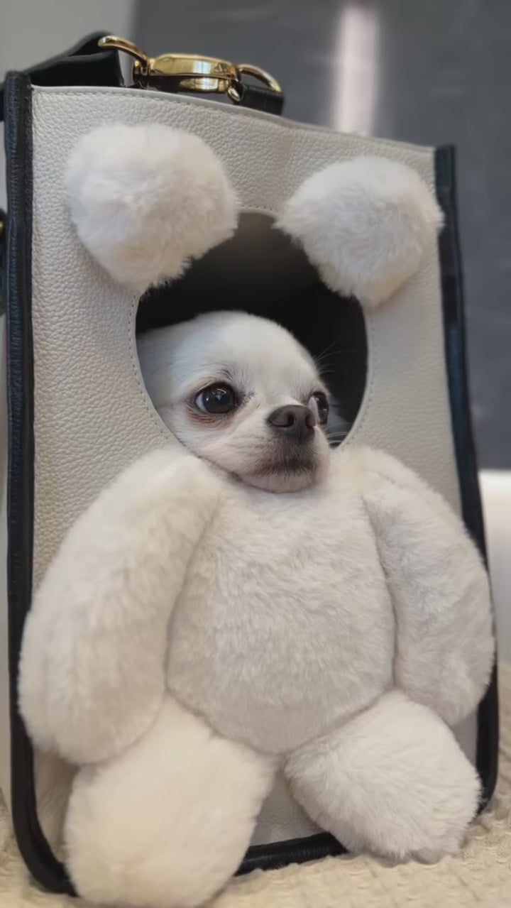 Bolsa de Passeio Pet com Efeito Ursinho | Teddy