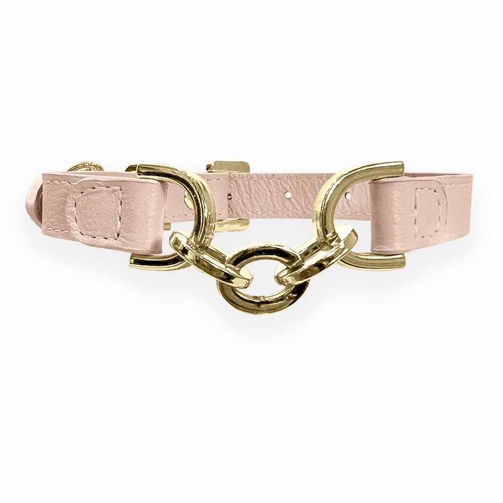 Coleira Personalizada para Cachorro com Corrente | Julie