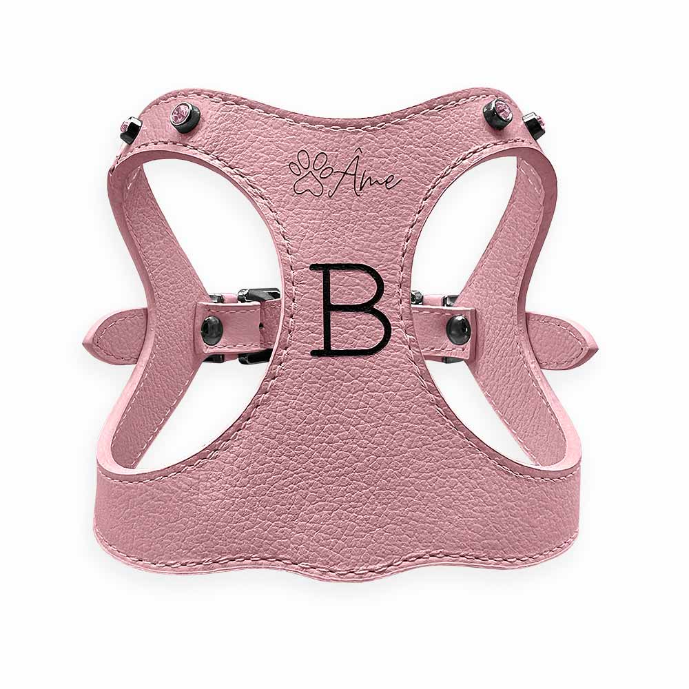 Peitoral de Couro para Cachorro Personalizado | Brownie
