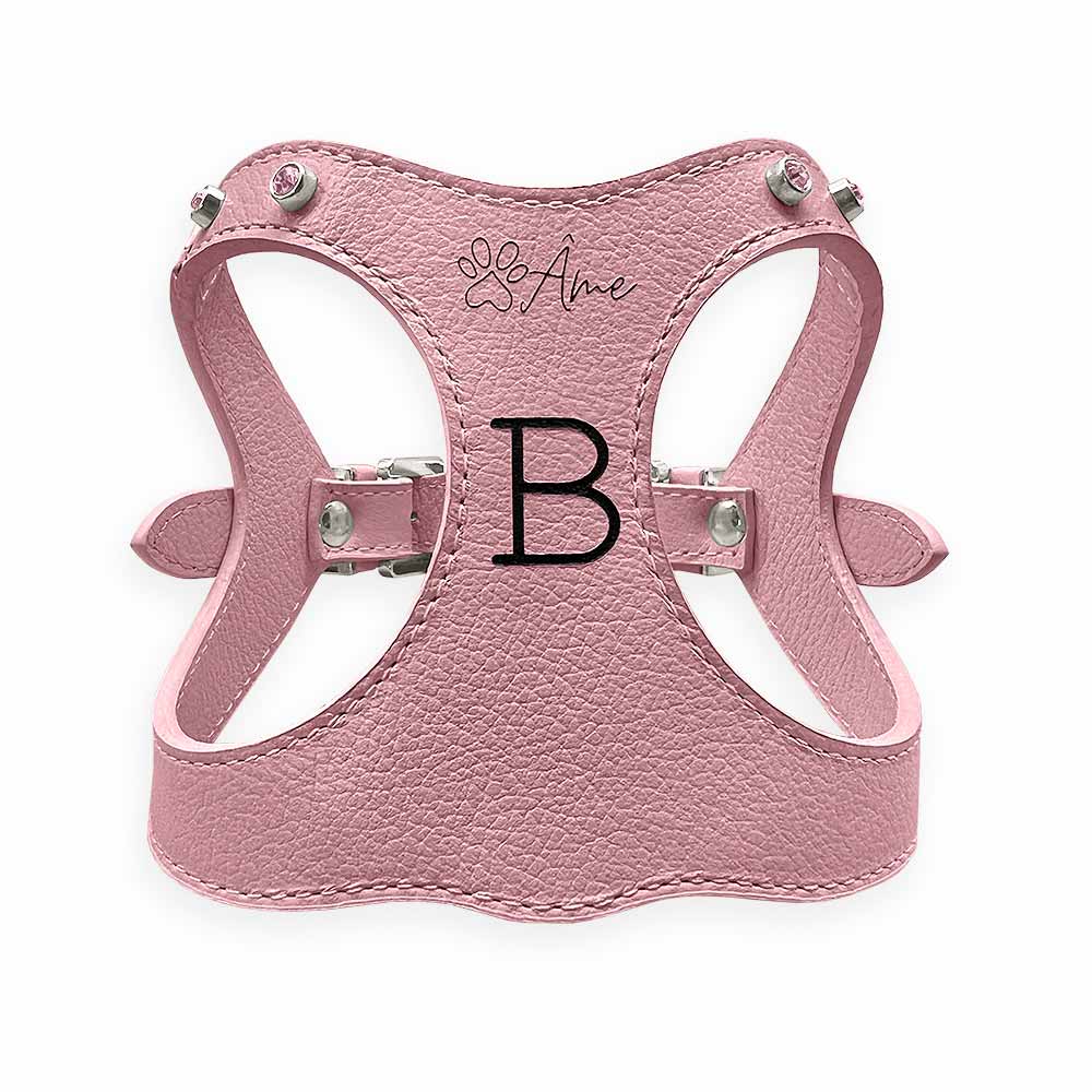 Peitoral de Couro para Cachorro Personalizado | Brownie