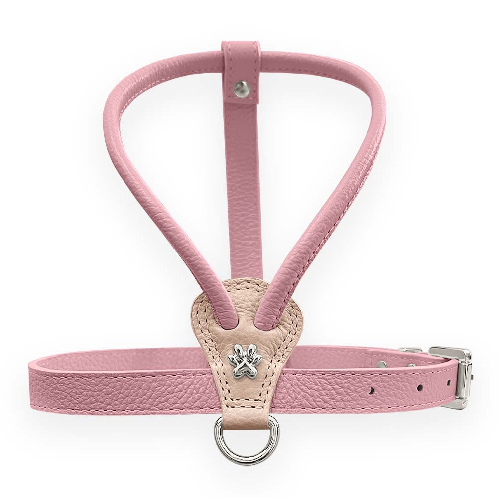 Peitoral de Couro para Cachorro em Y Delicado | Diana