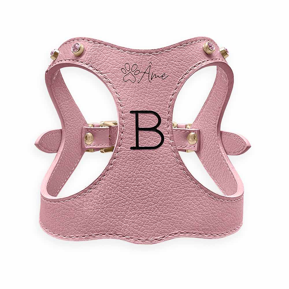 Peitoral de Couro para Cachorro Personalizado | Brownie