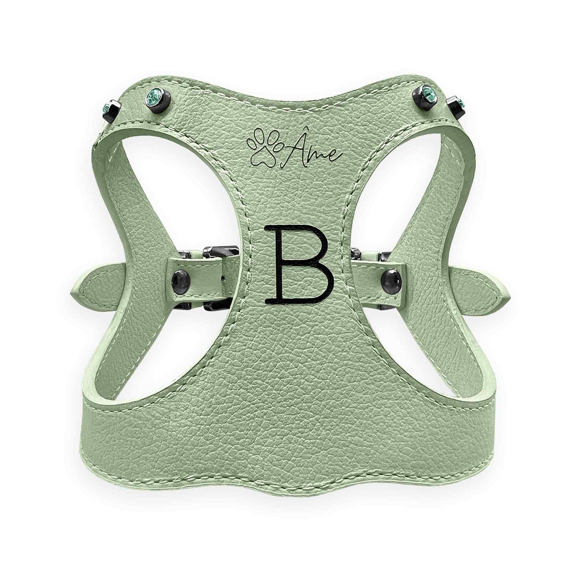 Peitoral de Couro para Cachorro Personalizado | Brownie