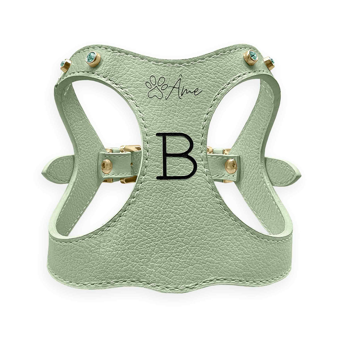 Peitoral de Couro para Cachorro Personalizado | Brownie