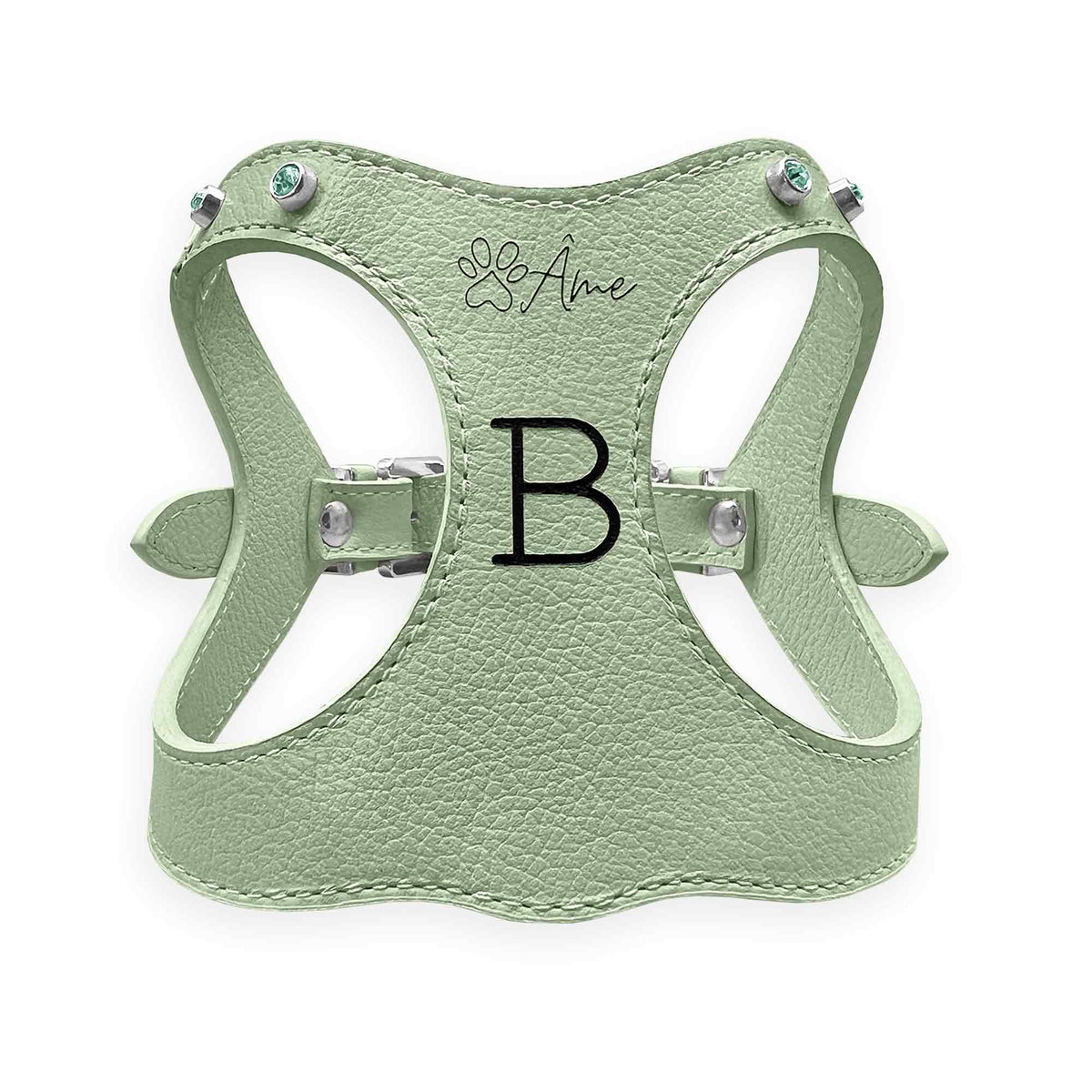 Peitoral de Couro para Cachorro Personalizado | Brownie