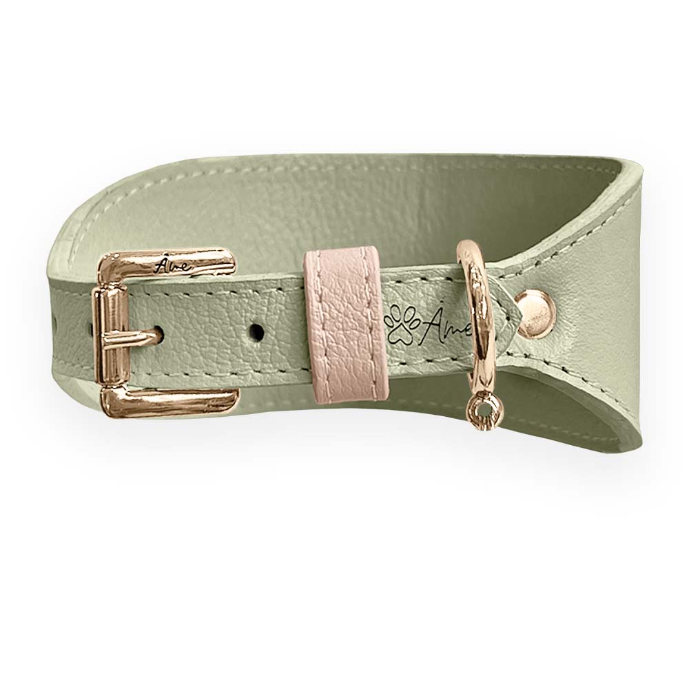 Coleira de Couro para Galgo com Design Anatômico