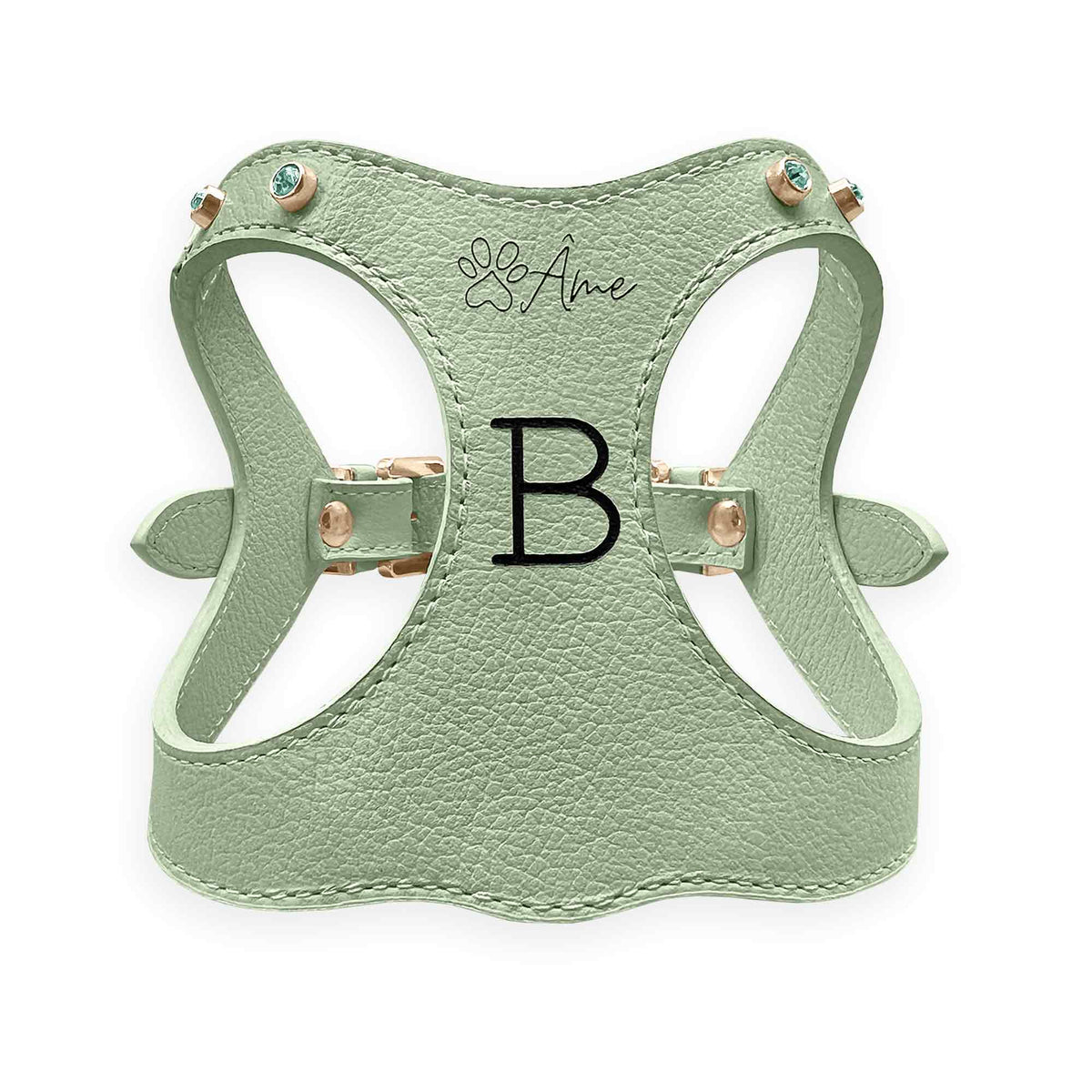 Peitoral de Couro para Cachorro Personalizado | Brownie