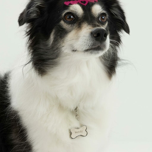 Adesivo Pet Tiara Coração (un)